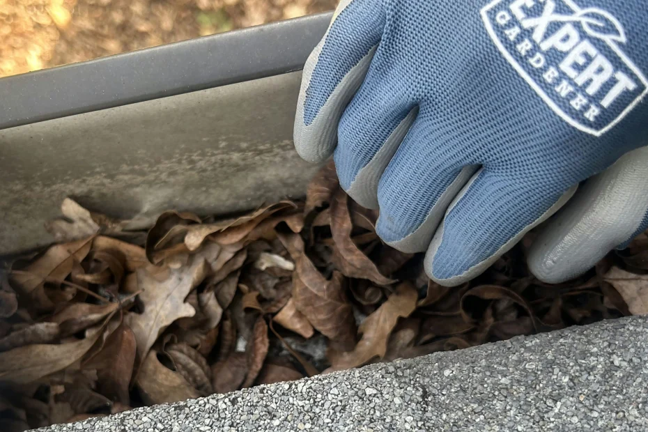Gutter Cleaning Oakland TN